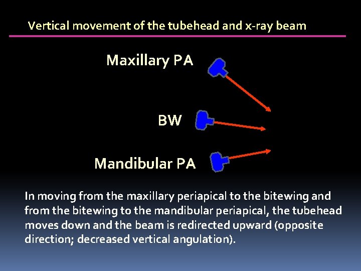 Vertical movement of the tubehead and x-ray beam Maxillary PA BW Mandibular PA In