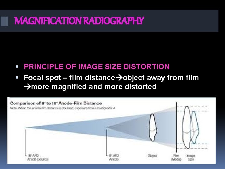 MAGNIFICATION RADIOGRAPHY PRINCIPLE OF IMAGE SIZE DISTORTION Focal spot – film distance object away
