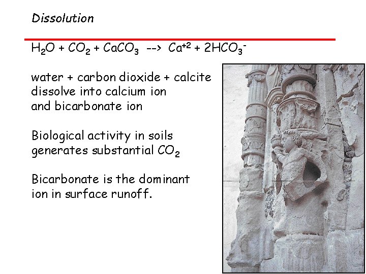 Dissolution H 2 O + CO 2 + Ca. CO 3 --> Ca+2 +