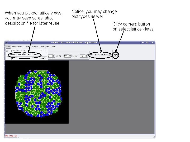 When you picked lattice views, you may save screenshot description file for later reuse