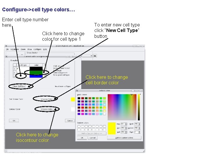 Configure->cell type colors… Enter cell type number here Click here to change color for