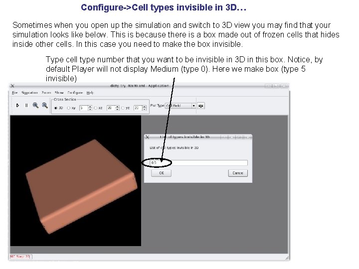 Configure->Cell types invisible in 3 D… Sometimes when you open up the simulation and