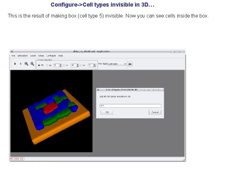 Configure->Cell types invisible in 3 D… This is the result of making box (cell