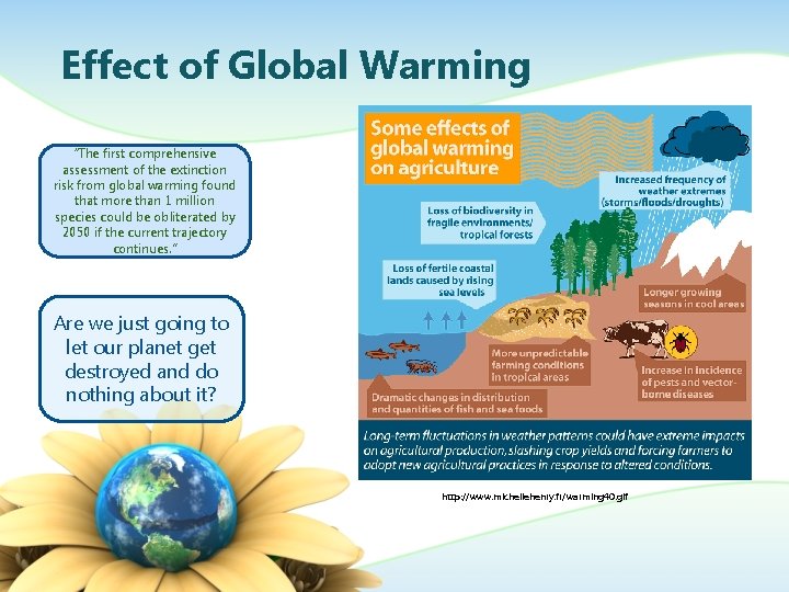 Effect of Global Warming “The first comprehensive assessment of the extinction risk from global