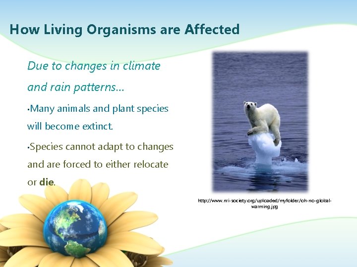 How Living Organisms are Affected Due to changes in climate and rain patterns… •