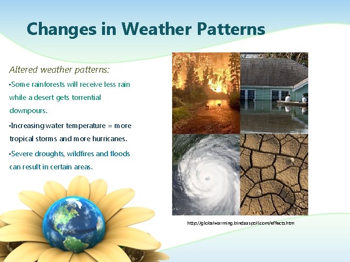 Changes in Weather Patterns Altered weather patterns: • Some rainforests will receive less rain