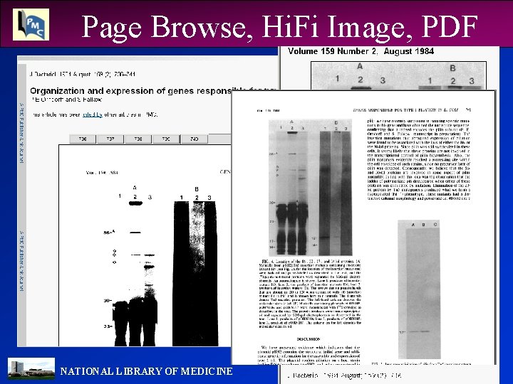 Page Browse, Hi. Fi Image, PDF NATIONAL LIBRARY OF MEDICINE 