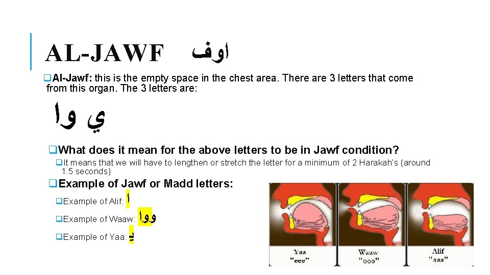 AL-JAWF ﺍﻭﻑ q. Al-Jawf: this is the empty space in the chest area. There