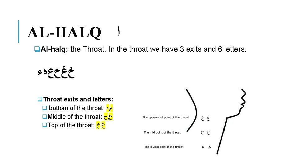 AL-HALQ ﺍ q. Al-halq: the Throat. In the throat we have 3 exits and