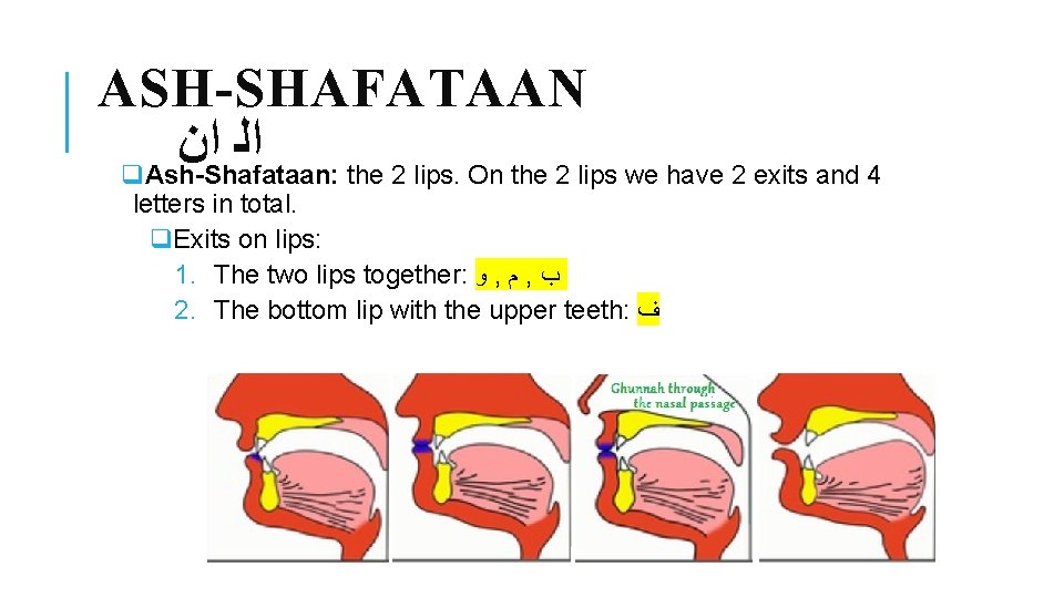 ASH-SHAFATAAN ﺍﻥ ﺍﻟ q. Ash-Shafataan: the 2 lips. On the 2 lips we have