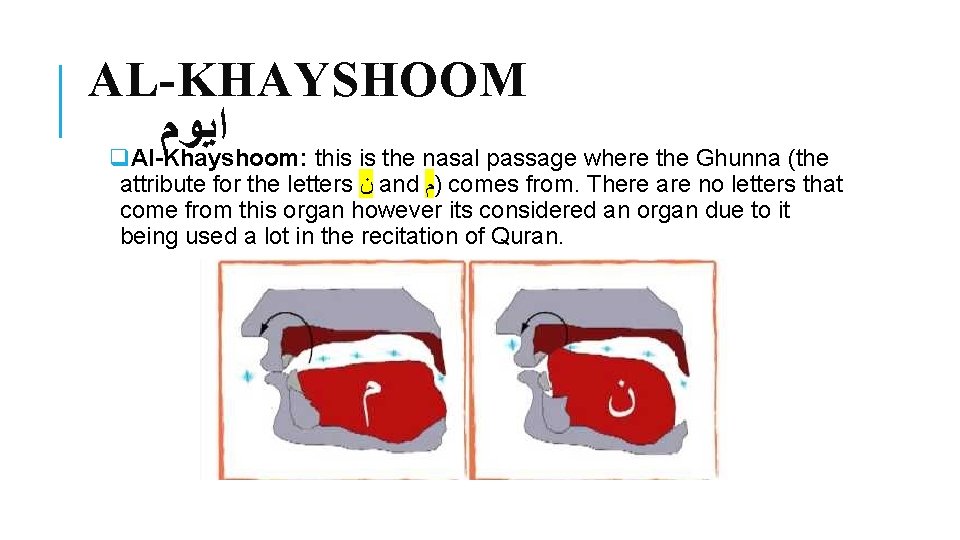 AL-KHAYSHOOM ﺍﻳﻭﻡ q. Al-Khayshoom: this is the nasal passage where the Ghunna (the attribute