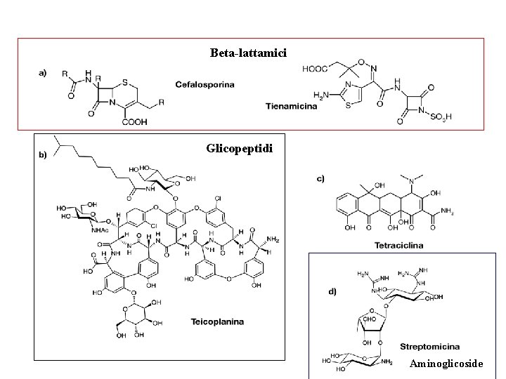 Beta-lattamici Glicopeptidi Aminoglicoside 