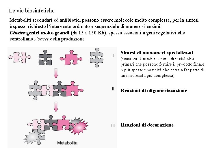 Le vie biosintetiche Metaboliti secondari ed antibiotici possono essere molecole molto complesse, per la