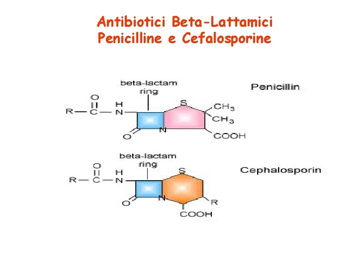 Antibiotici Beta-Lattamici Penicilline e Cefalosporine 