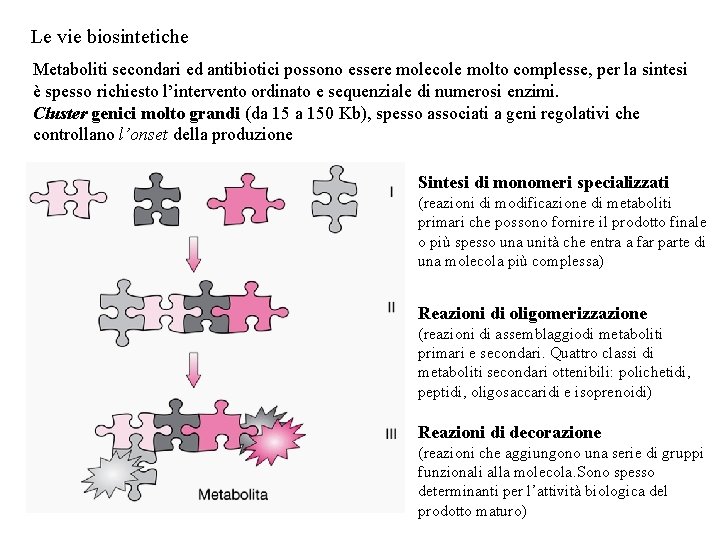 Le vie biosintetiche Metaboliti secondari ed antibiotici possono essere molecole molto complesse, per la