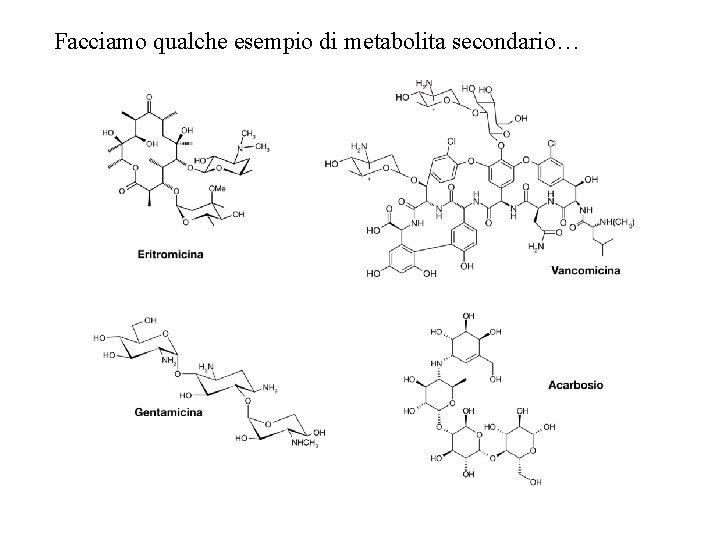 Facciamo qualche esempio di metabolita secondario… 