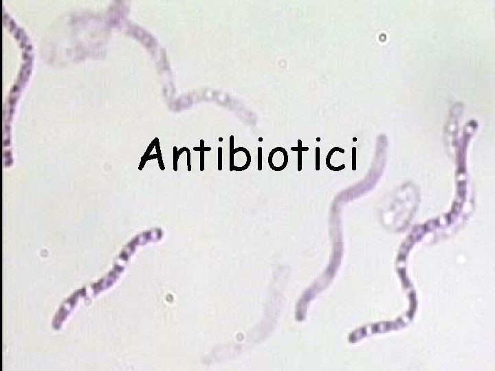 Antibiotici 