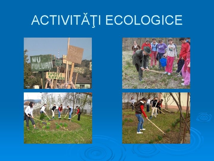 ACTIVITĂŢI ECOLOGICE 
