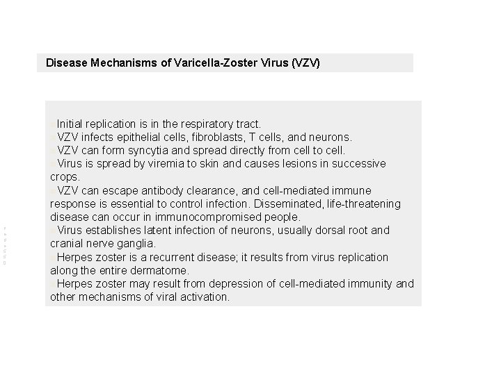 Disease Mechanisms of Varicella-Zoster Virus (VZV) n. Initial replication is in the respiratory tract.