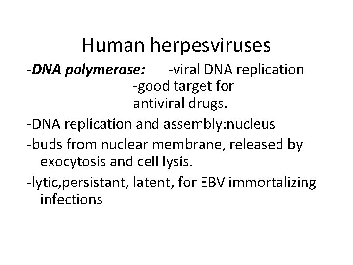 Human herpesviruses -DNA polymerase: -viral DNA replication -good target for antiviral drugs. -DNA replication