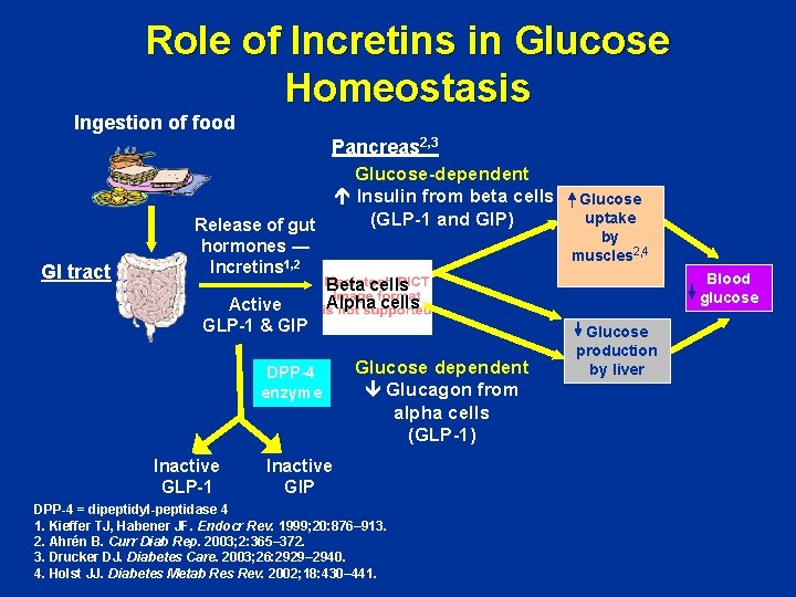 Role of Incretins in Glucose Homeostasis Ingestion of food Pancreas 2, 3 GI tract