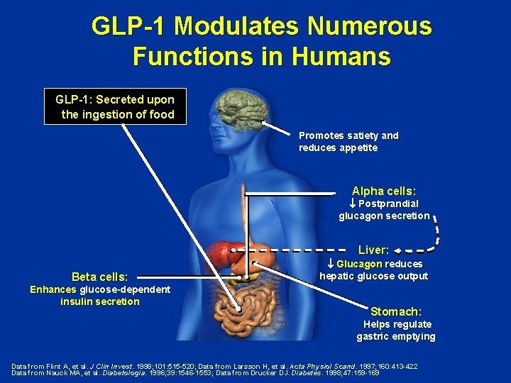 GLP-1 Modulates Numerous Functions in Humans GLP-1: Secreted upon the ingestion of food Promotes