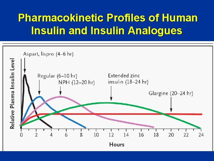 Pharmacokinetic Profiles of Human Insulin and Insulin Analogues 