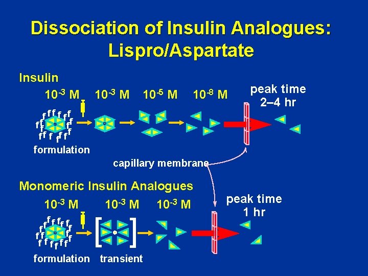 Dissociation of Insulin Analogues: Lispro/Aspartate Insulin 10 -3 M 10 -5 M 10 -8