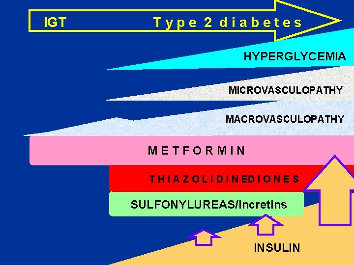 IGT Type 2 diabetes HYPERGLYCEMIA MICROVASCULOPATHY MACROVASCULOPATHY METFORMIN T H I A Z O