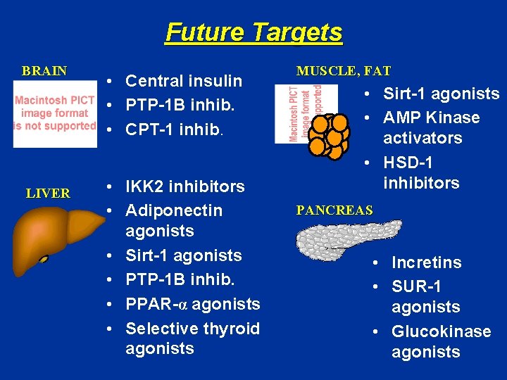 Future Targets BRAIN LIVER • Central insulin • PTP-1 B inhib. • CPT-1 inhib.