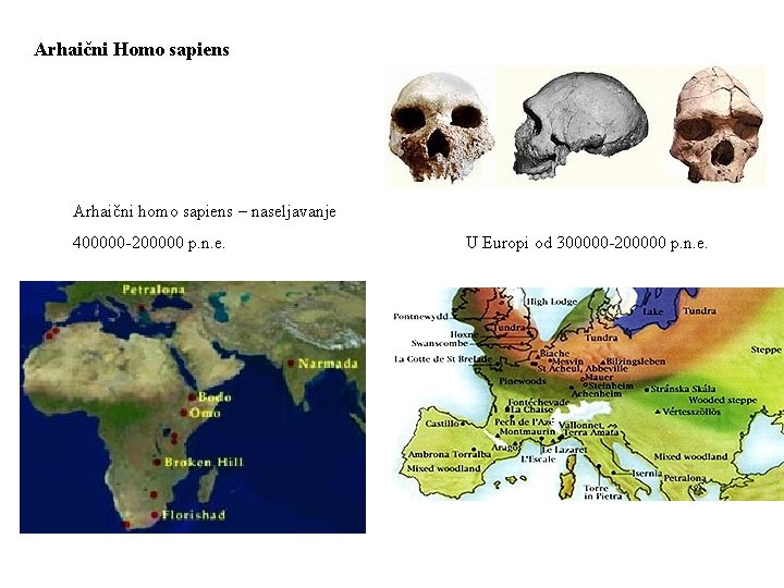 Arhaični Homo sapiens Arhaični homo sapiens – naseljavanje 400000 -200000 p. n. e. U