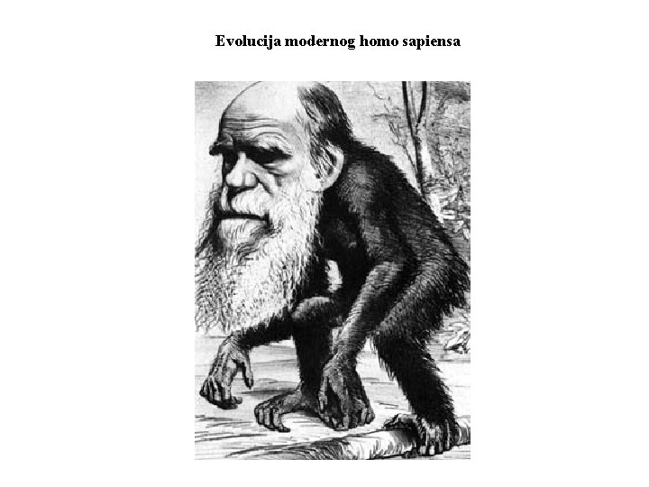 Evolucija modernog homo sapiensa 