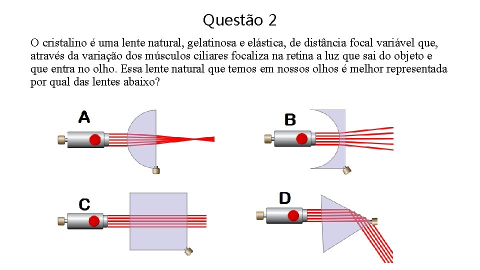 Questão 2 O cristalino é uma lente natural, gelatinosa e elástica, de distância focal