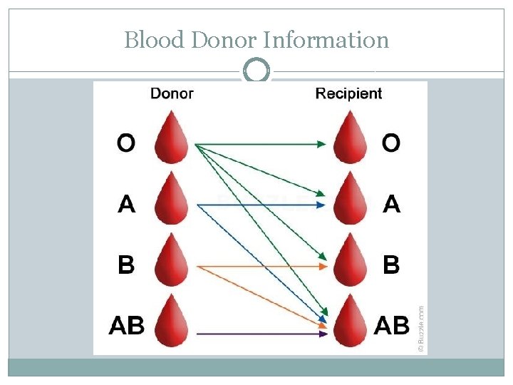 Blood Donor Information 