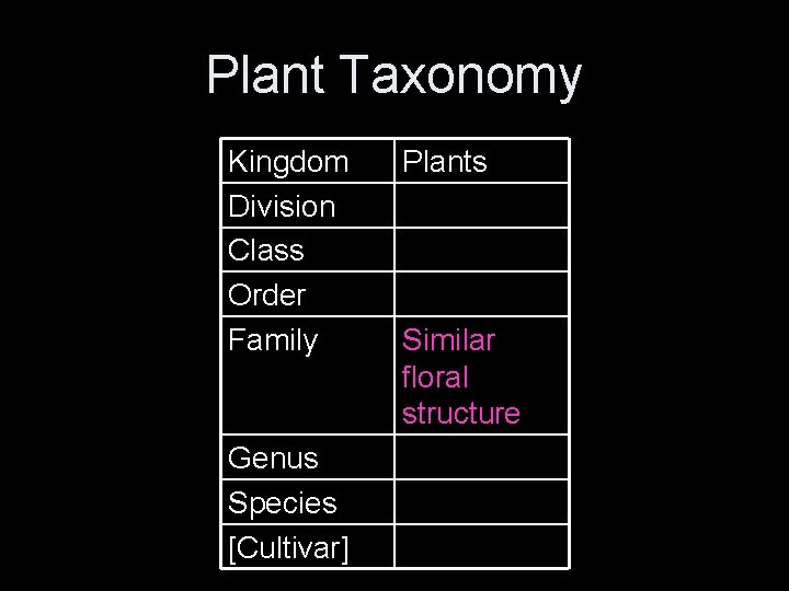 Plant Taxonomy Kingdom Division Class Order Family Genus Species [Cultivar] Plants Similar floral structure