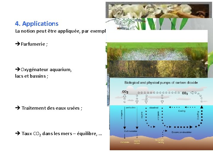 4. Applications La notion peut être appliquée, par exemple : Parfumerie ; Oxygénateur aquarium,