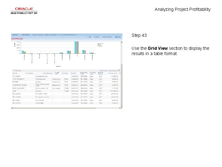 Analyzing Project Profitability Step 43 Use the Grid View section to display the results