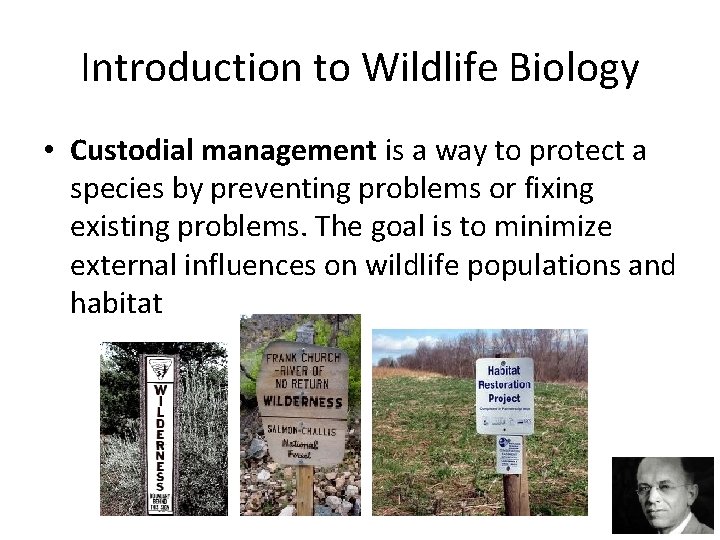 Introduction to Wildlife Biology • Custodial management is a way to protect a species