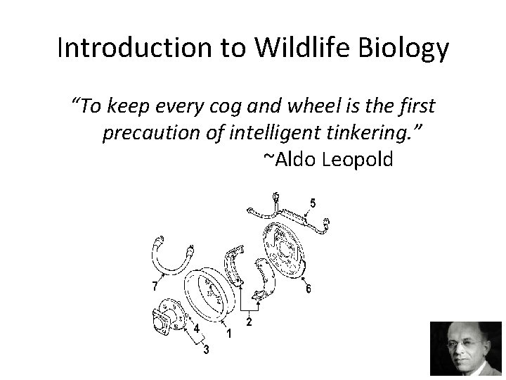 Introduction to Wildlife Biology “To keep every cog and wheel is the first precaution