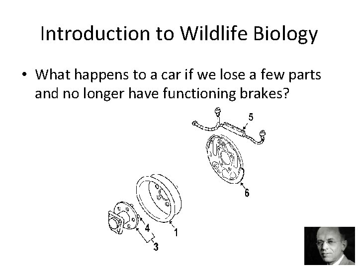 Introduction to Wildlife Biology • What happens to a car if we lose a