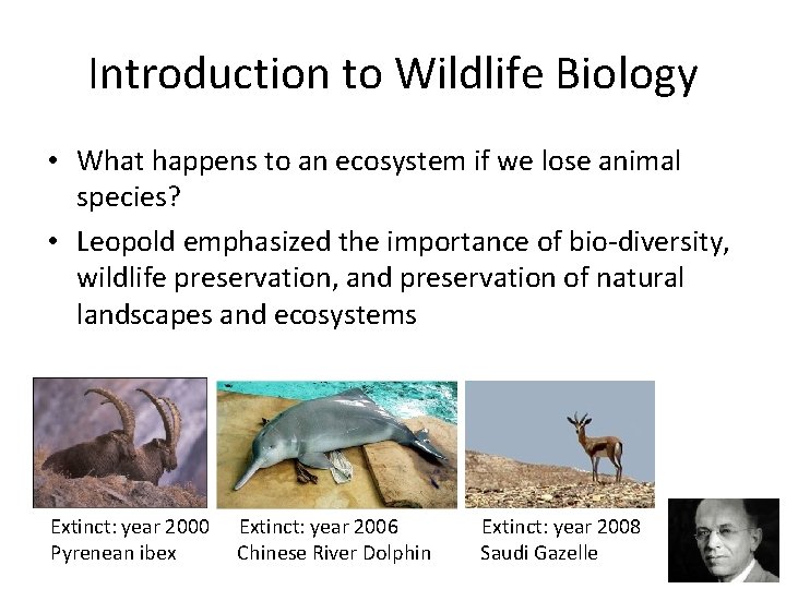 Introduction to Wildlife Biology • What happens to an ecosystem if we lose animal