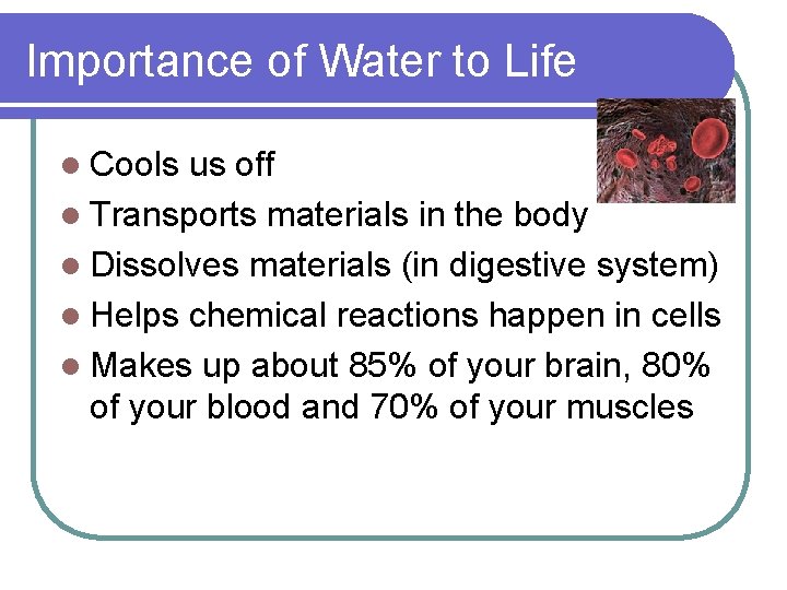 Importance of Water to Life l Cools us off l Transports materials in the