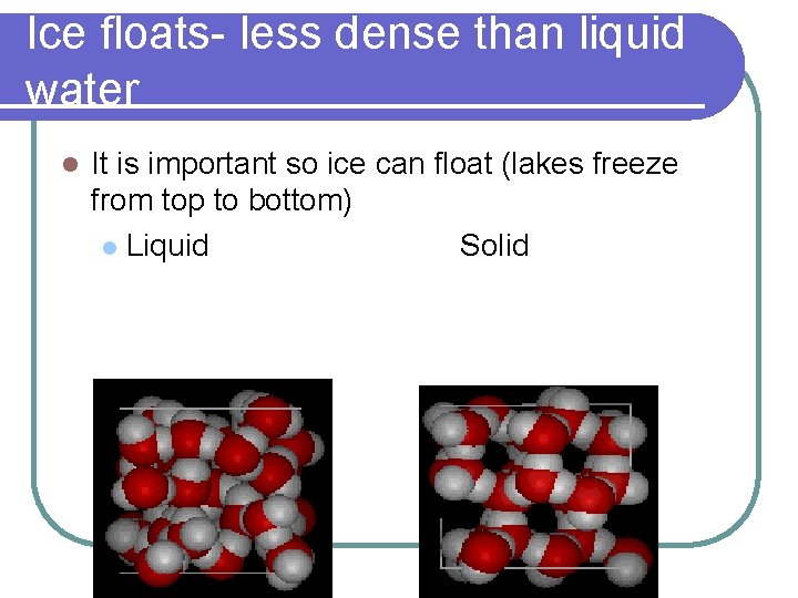 Ice floats- less dense than liquid water l It is important so ice can