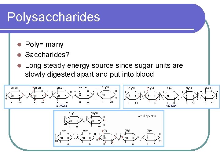 Polysaccharides Poly= many l Saccharides? l Long steady energy source since sugar units are