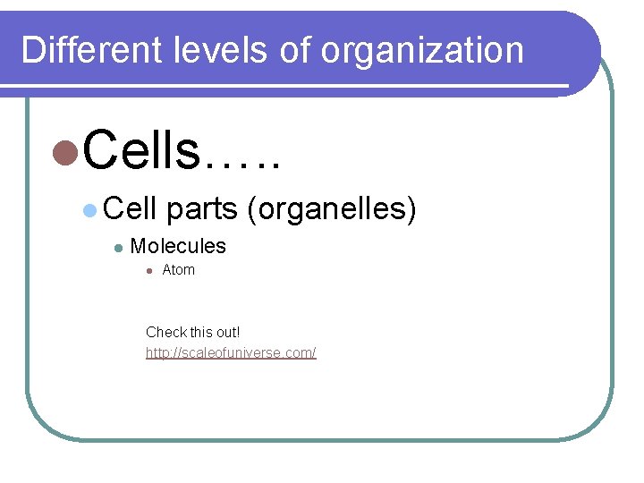 Different levels of organization l. Cells…. . l Cell l parts (organelles) Molecules l