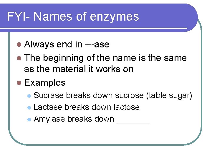 FYI- Names of enzymes l Always end in ---ase l The beginning of the
