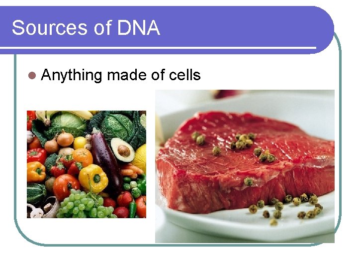 Sources of DNA l Anything made of cells 