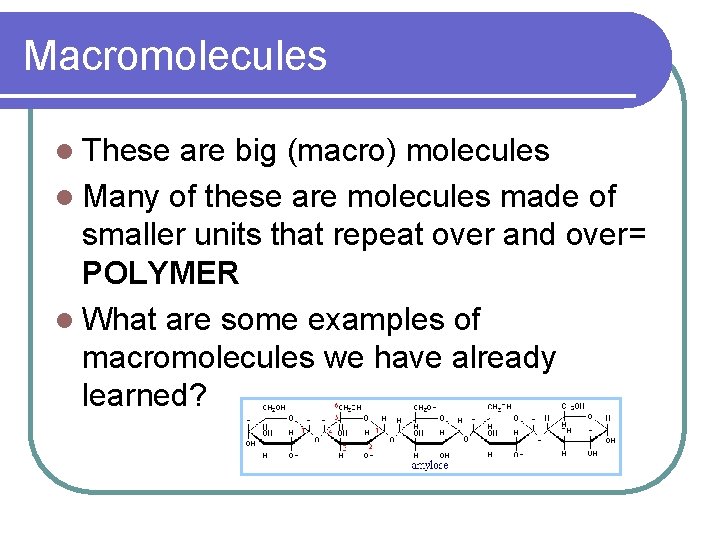 Macromolecules l These are big (macro) molecules l Many of these are molecules made