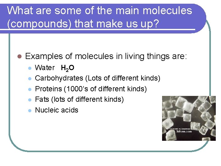 What are some of the main molecules (compounds) that make us up? l Examples