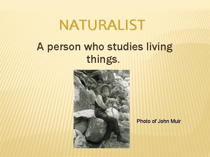 NATURALIST A person who studies living things. Photo of John Muir 